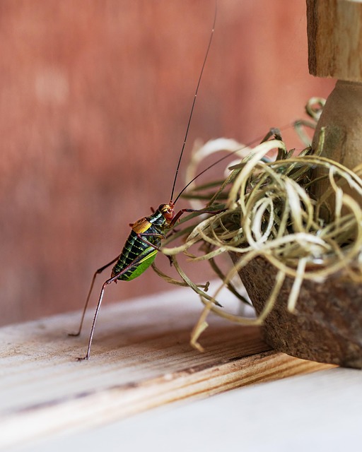 Athlete undergoing performance assessment on a Pitch Perfect | Expert Pitch Perfect | Expert Cricket Performance Solutions Performance Solutions pitch with sensors